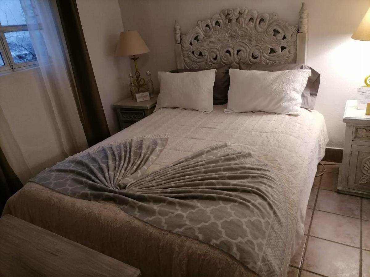 Hotel Santa Ana Сан Мигел де Аленде Екстериор снимка